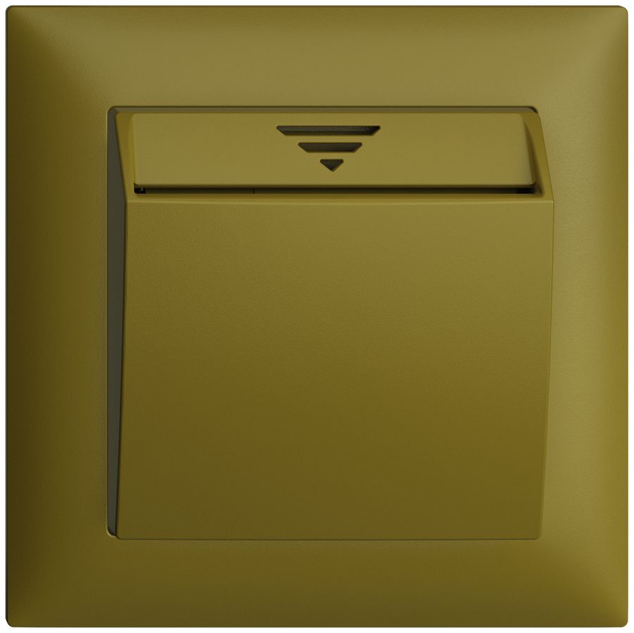 UP-Schalter Hotelcard 250VAC 1L EDIZIOdue olive