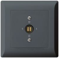 UP-Steckschlüsselschalter kallysto.line 0/1L anthrazit