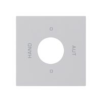 Kit frontale interruttore chiave S2 60×60 kallysto 0-Hand-0-Aut.grigio chiaro