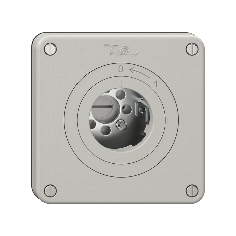 Schwenktaster NEVO, ohne Zylinder, KS, 0<-1, lichtgrau