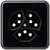 Abdeckplatte basico 3×Typ 13 Isolierstoff schwarz mit Kinderschutz