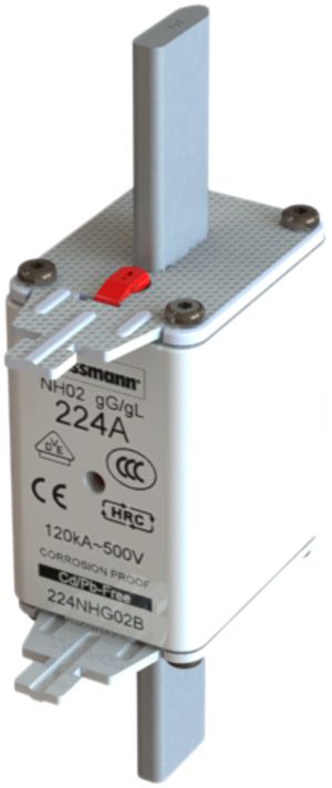 NH-Sicherung Eaton gL/gG NH 02C 500V 100A