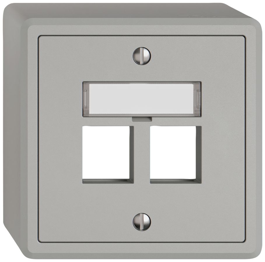 AP-Montageset EDIZIO.liv Keystone SNAPFIX® gerade 2× hgu