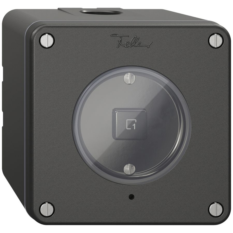 AP-Szenentaster 1 Szene/1T NEVO Wiser schwarz