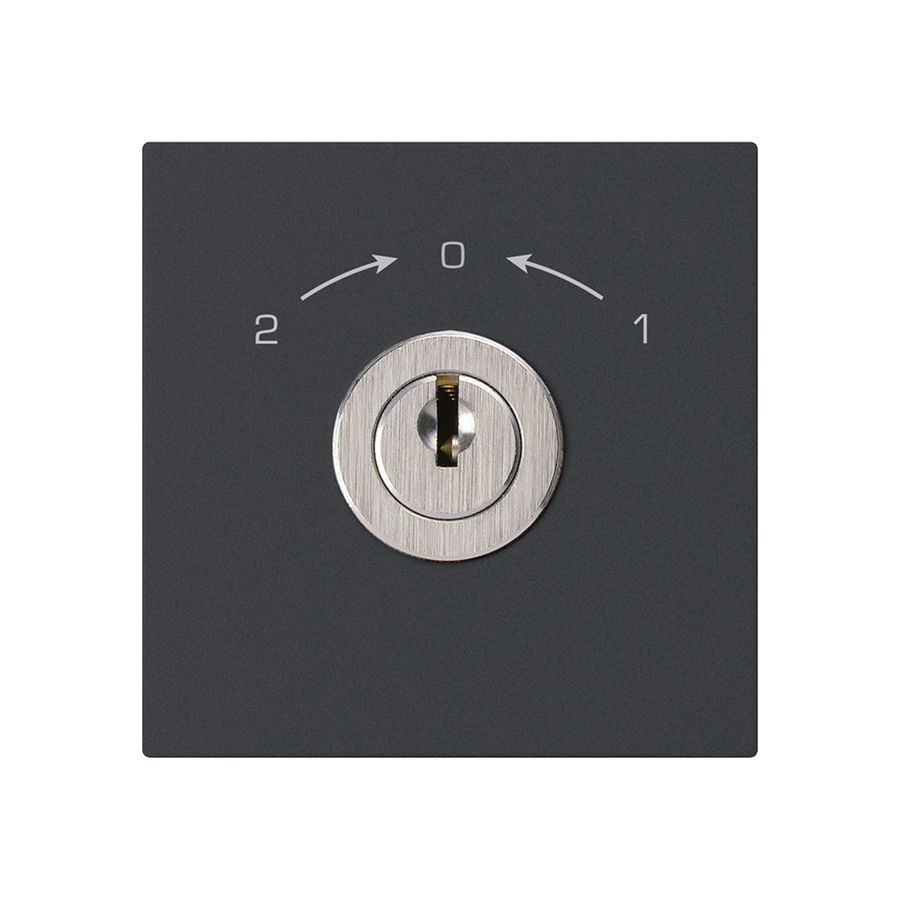 Schwenktaster 1->0<-2 schwarz kallysto mit Schloss Kaba 8