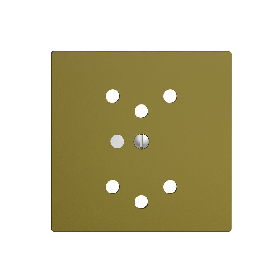 Kit frontal EDIZIOdue olive 60×60mm 2×T12, lentille,