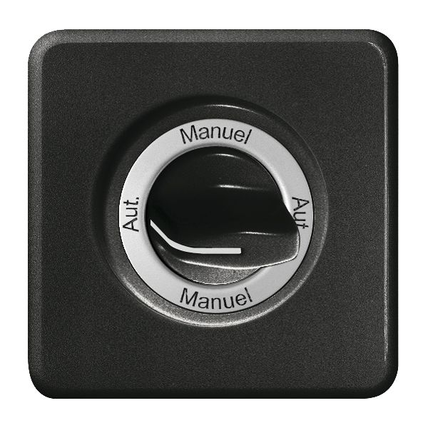 Frontset Auto-Main-Auto-Main für Drehschalter schwarz FH