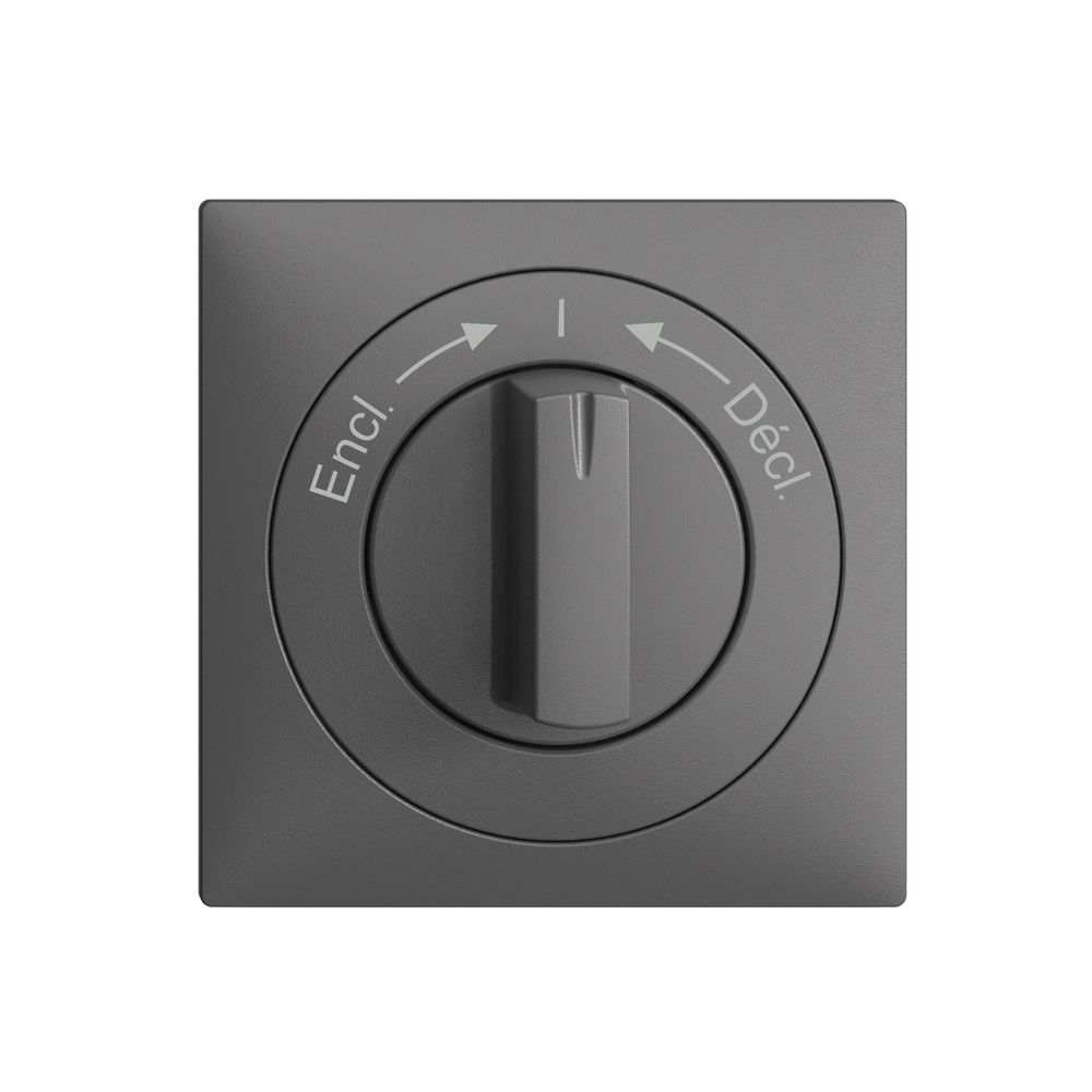 Frontset EDIZIOdue Encl.->I<-Décl. dunkelgrau 60×60mm für Schwenktaster