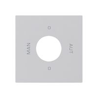Kit frontale per interruttore chiave S2 60×60 kallysto 0-Man-0-Aut.grigio chiaro
