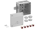 Scatola di derivazione AP Spelsberg Abox Pro 040 AB-4² 102×102×70mm IP69 gr