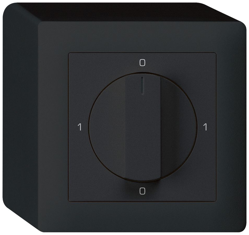 AP-Drehschalter kallysto 0/1L schwarz mit Drehgriff