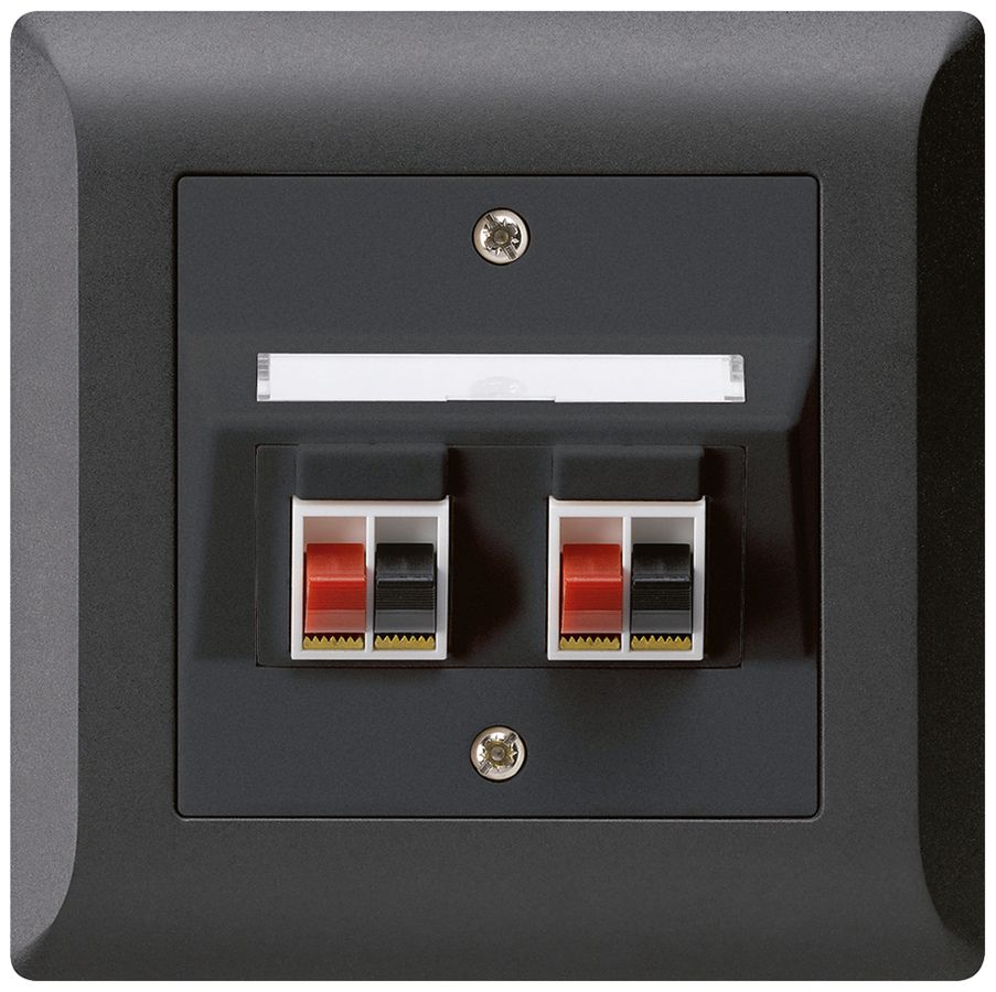 Prise ENC audio kallysto.line 2× noir borne à étrier pour 2 haut-parleurs