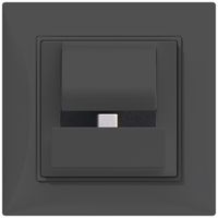 UP-Docking-Station ABB Sidus PowerDock USB-C, m.USB-C connector, anthrazit