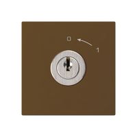 Schwenktaster 0<-1/1L braun kallysto mit Schloss Kaba 8