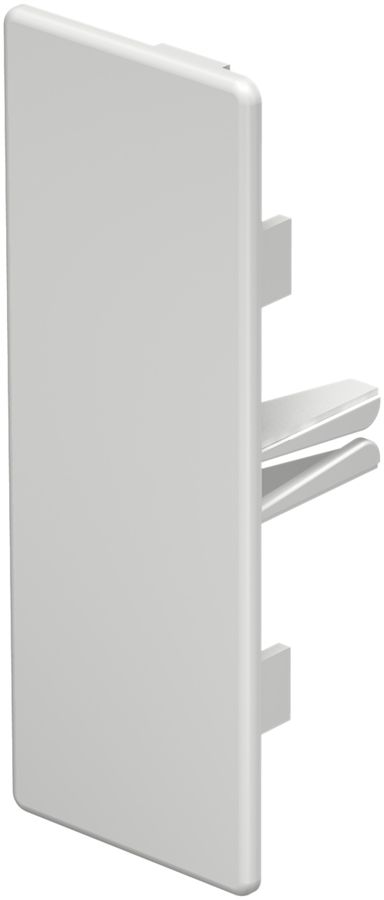 Plaque de fermeture Bettermann pour canal d'installation WDK blanc pur 40×110mm