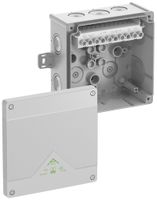 AP-Abzweigdose Spelsberg Abox 100 AB-10² 152×152×80mm IP66 gu