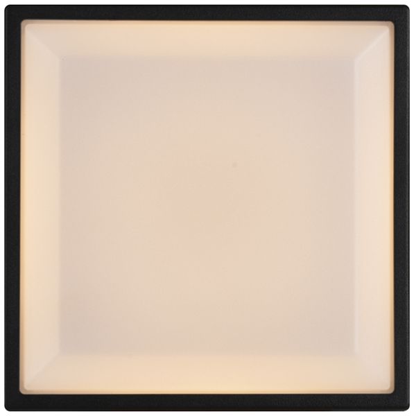 LED-Anbauleuchte Oliver Square 9W 600lm 2700K IP54 direkt 175×175×58mm schwarz