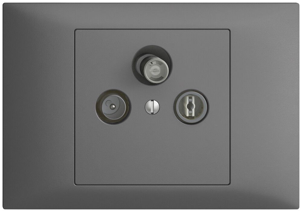 EB-Stichdose SAT/TV DB52 EDIZIOdue dunkelgrau, mit IEC/F-Anschluss