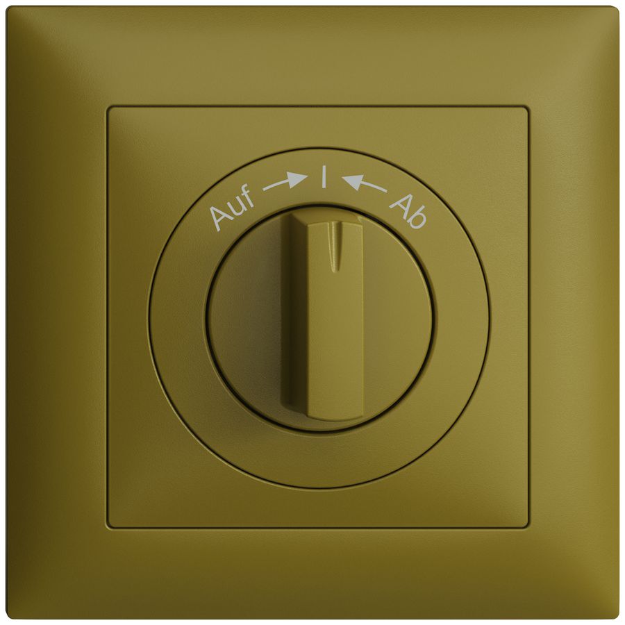 Frontset EDIZIOdue Auf->I<-Ab olive 88×88mm für Schwenktaster