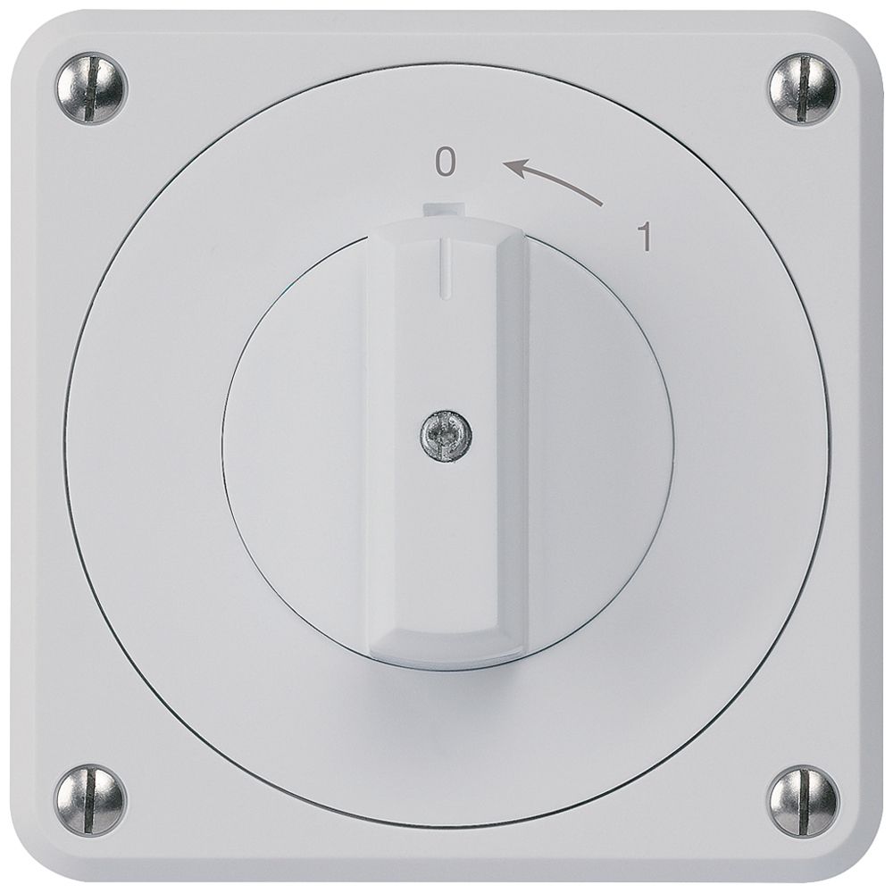 UP-Schwenktaster robusto IP55 grau 1P