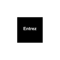 Feuille EDIZIOdue neg. noir 42×42mm pour lampe LED