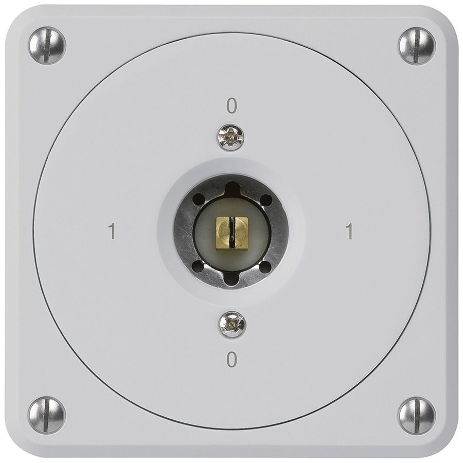 Interrupteur à clé carrée ENC robusto sans clapet 0/1P gris combi