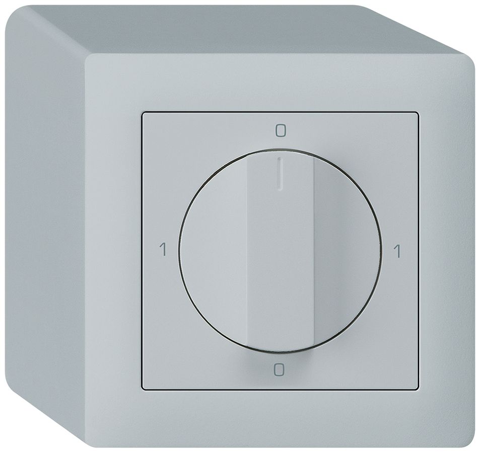 AP-Drehschalter kallysto 2/1L hellgrau mit Drehgriff