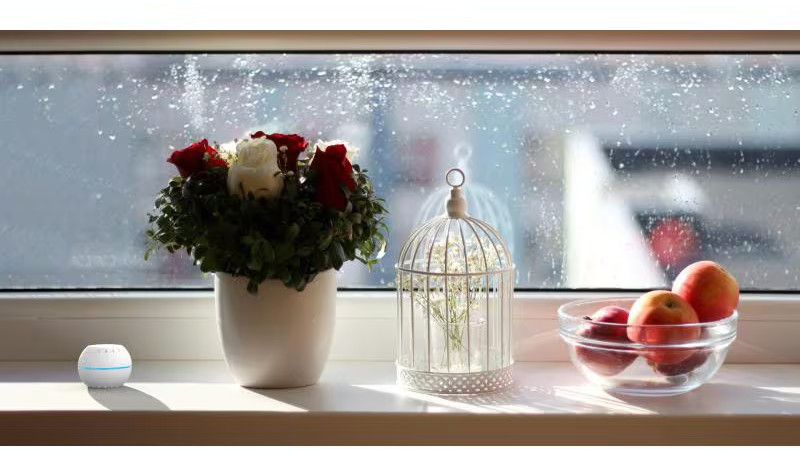 Shelly WiFi-Humidity & Temerature Sens. WLAN Luftfeuchte & Temperatursensor