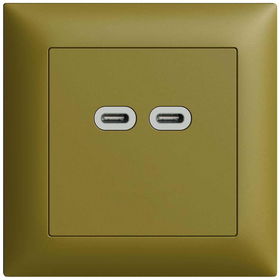 UP-Steckdose USB 18W 2×Typ C Feller EDIZIOdue FMI 230V 3600mA olive