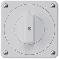 UP-Drehschalter robusto IP55 S0/1P grau für Kombination
