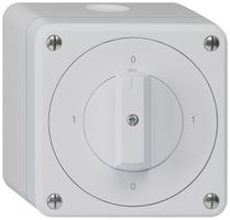 AP-Drehschalter robusto IP55 Schema 0/1P grau