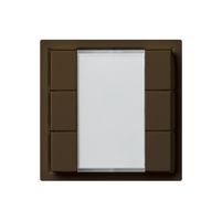 UP-Universaltaster 6×kallysto A mit LED braun