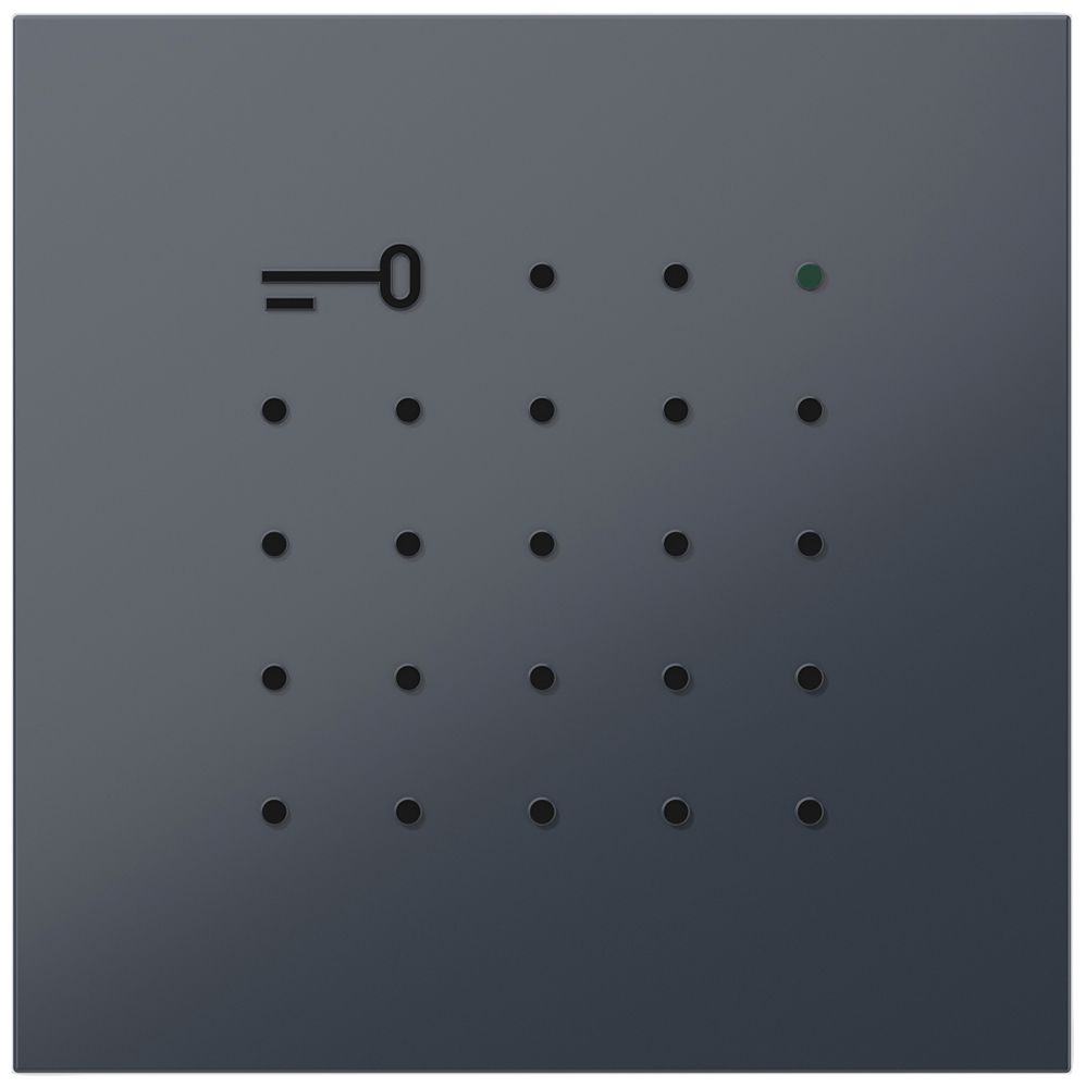 Transponder-Lese-Modul Siedle systemunabhängig 12V AC/DC anthrazit