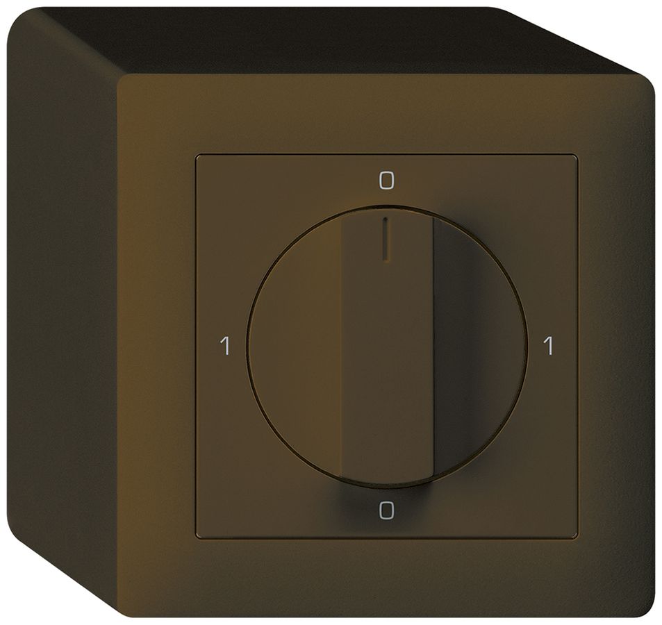 AP-Drehschalter kallysto 5/1L br mit Drehgriff