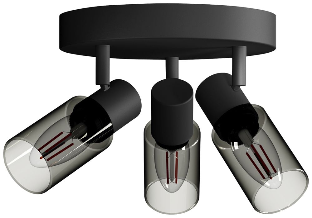 Spot Philips Palms E14 3×25W 245×196mm nero