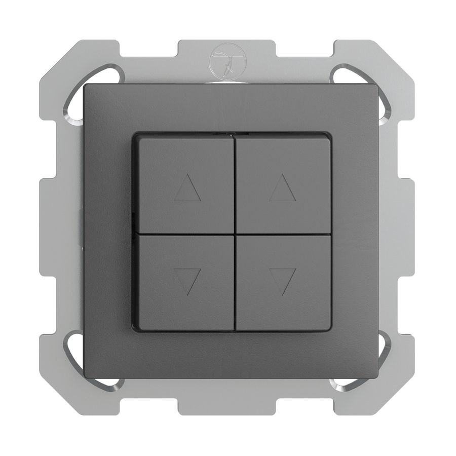 UP-Storentaster EDIZIOdue FM dunkelgrau 2-Kanäle