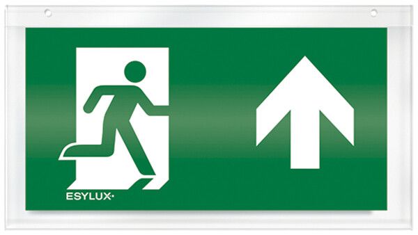 Piktogramm-Scheibe ESYLUX für SLX einseitig Pfeil oben