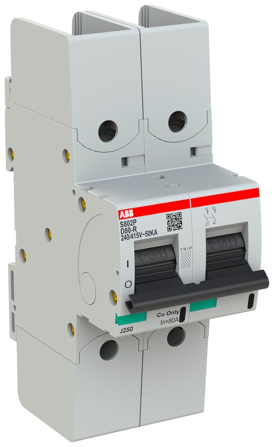 Leitungsschutzschalter ABB S802P-D80-R 2P 400V D-80A 50kA 3TE