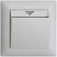 UP-Schalter Hotelcard 250VAC 1L EDIZIOdue hellgrau
