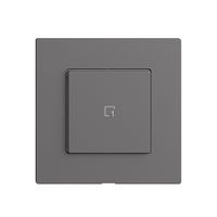 Szenentaster 1 Szene/1T Edue Wiser dunkelgrau