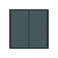 Taster KNX KAL 2×Tasten 4×Betätigungspunkte LED anthrazit