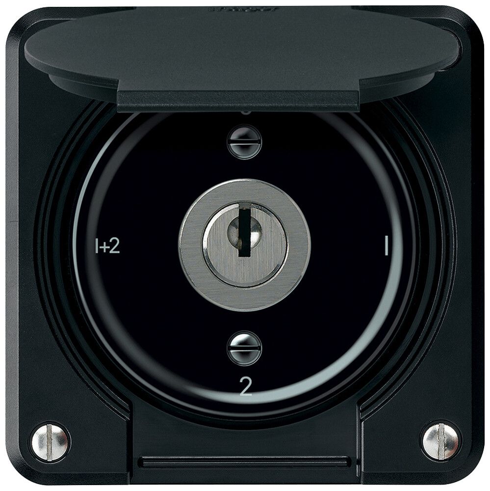 UP-Schlüsselschalter robusto Serienschalter 16A 250V 86×86mm schwarz