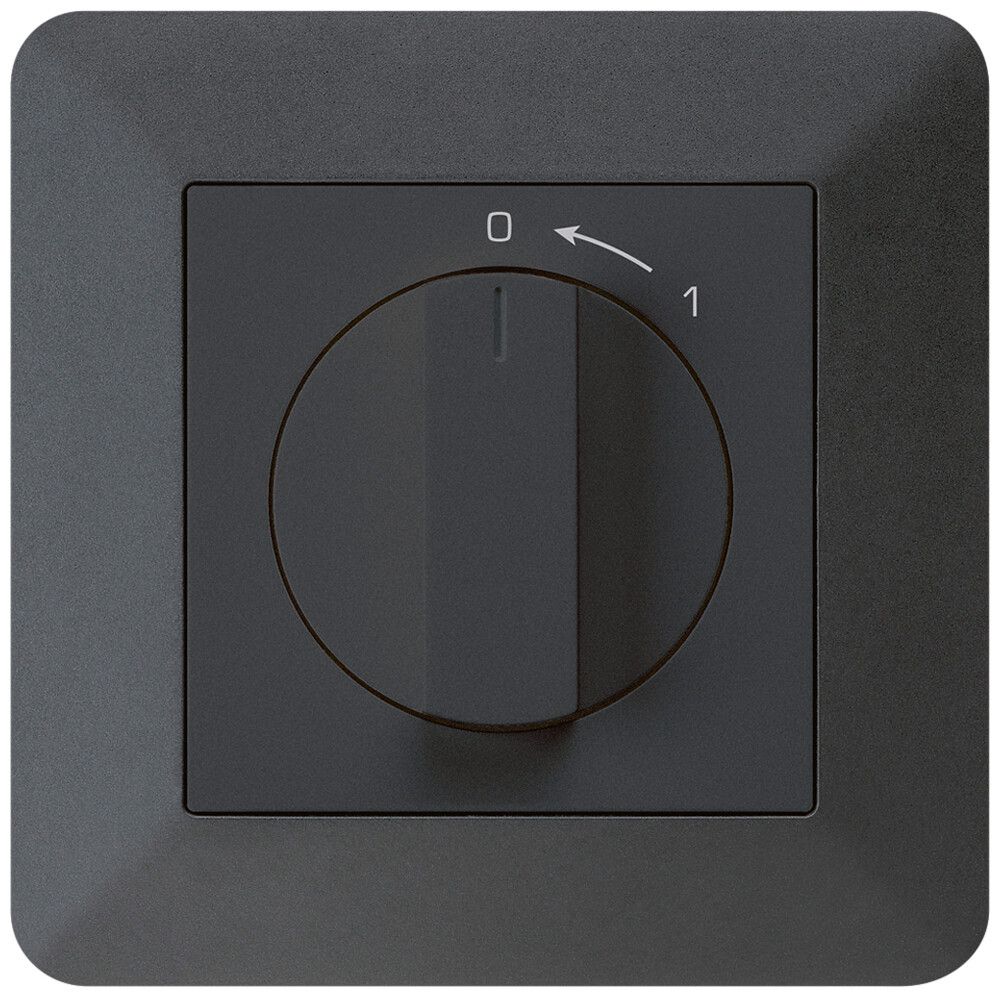 Contact pivotant ENC 0<-1/2L noir kallysto.trend avec manette