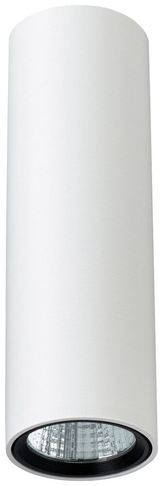 LED-Deckenleuchte Philips GreenSpace 8.6W 1021lm 3000K DIM Ø65×211mm weiss