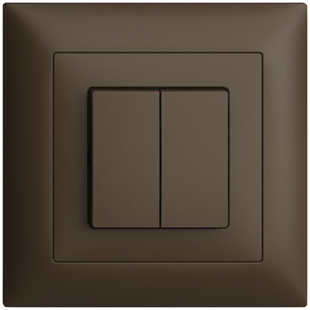 UP-Taster EDIZIOdue 2×A-R/1P coffee