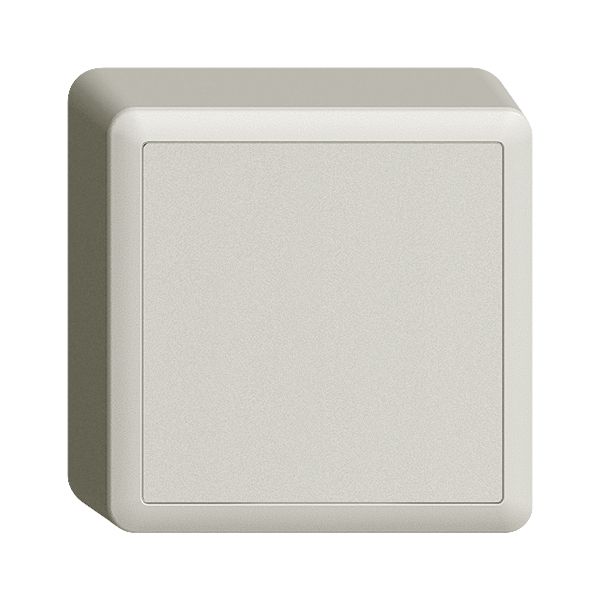 AP-WLAN-Nebenstelle EDIZIOdue FX ZEP App station 4k, hellgrau