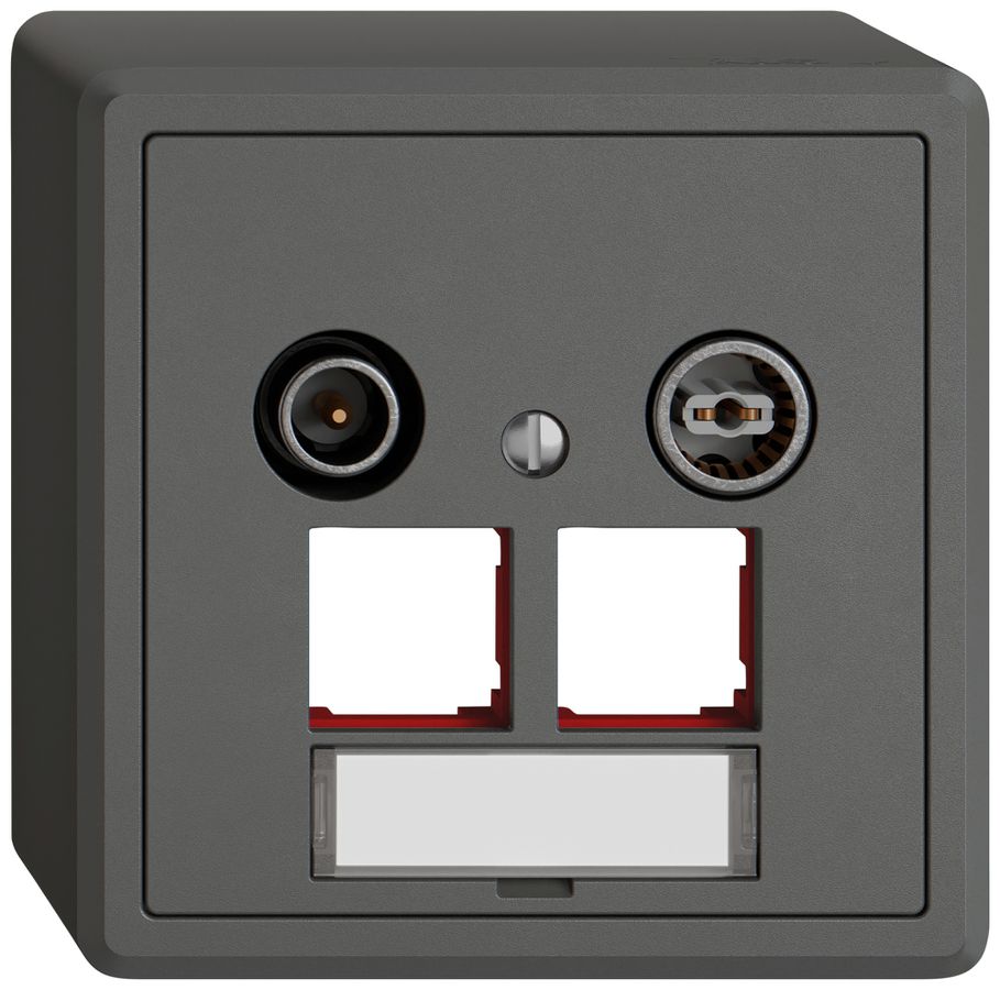 Prise multimédia AP TV-R EDIZIO.liv SNAPFIX® EASYNET p.2×RJ45 S-One 11dB grf