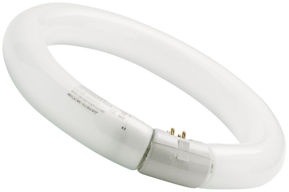 Lampada fluorescente FC T9 G10q 22W 840 Circline