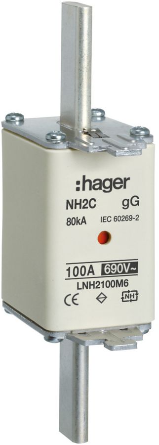 Fusibile HPC Hager DIN2c 690VAC 100A gG/gL segnalatore doppio inossidabile