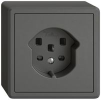 AP-Steckdose EDIZIO.liv SNAPFIX® 1×T25 dgu